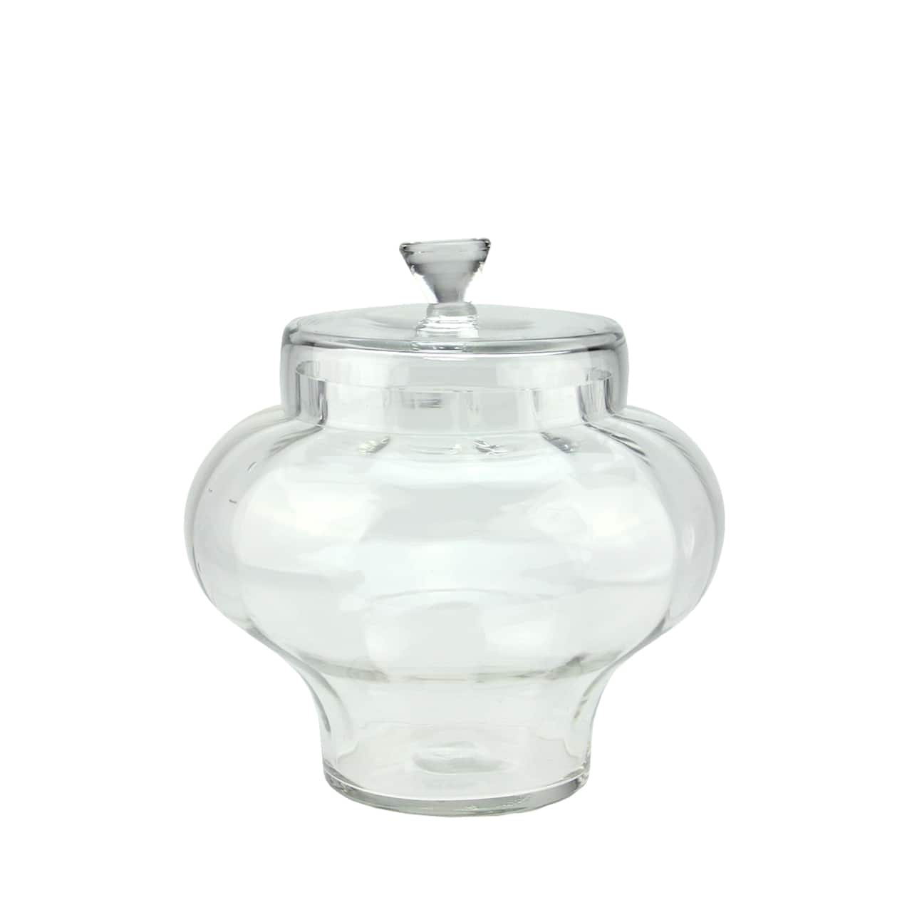 11" Transparent Segmented Glass Container with Lid